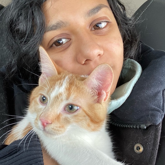 Meet your Posher, Carol - Picture 1 of 1